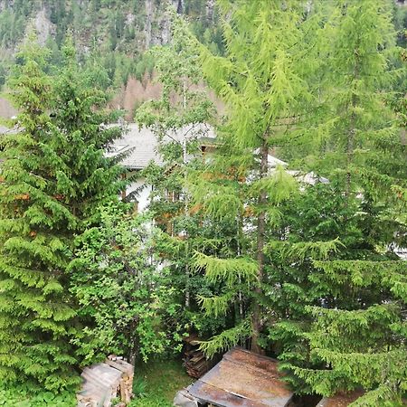 Cesa Pier Sellaronda Dolomiti Apartment Campitello di Fassa Bagian luar foto