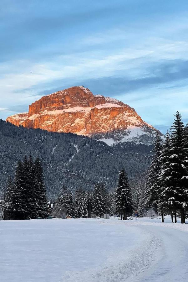 Cesa Pier Sellaronda Dolomiti Apartment Campitello di Fassa Bagian luar foto